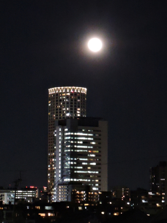 十七夜_c0062832_14181534.jpg