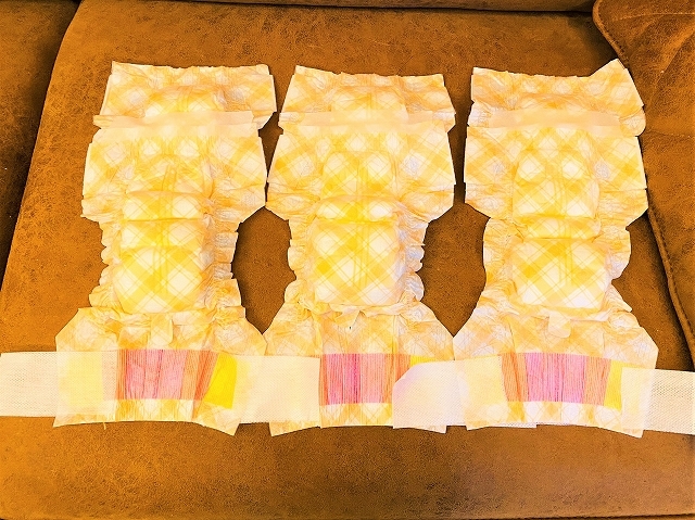 早朝からのSOS_d0360206_19313984.jpg