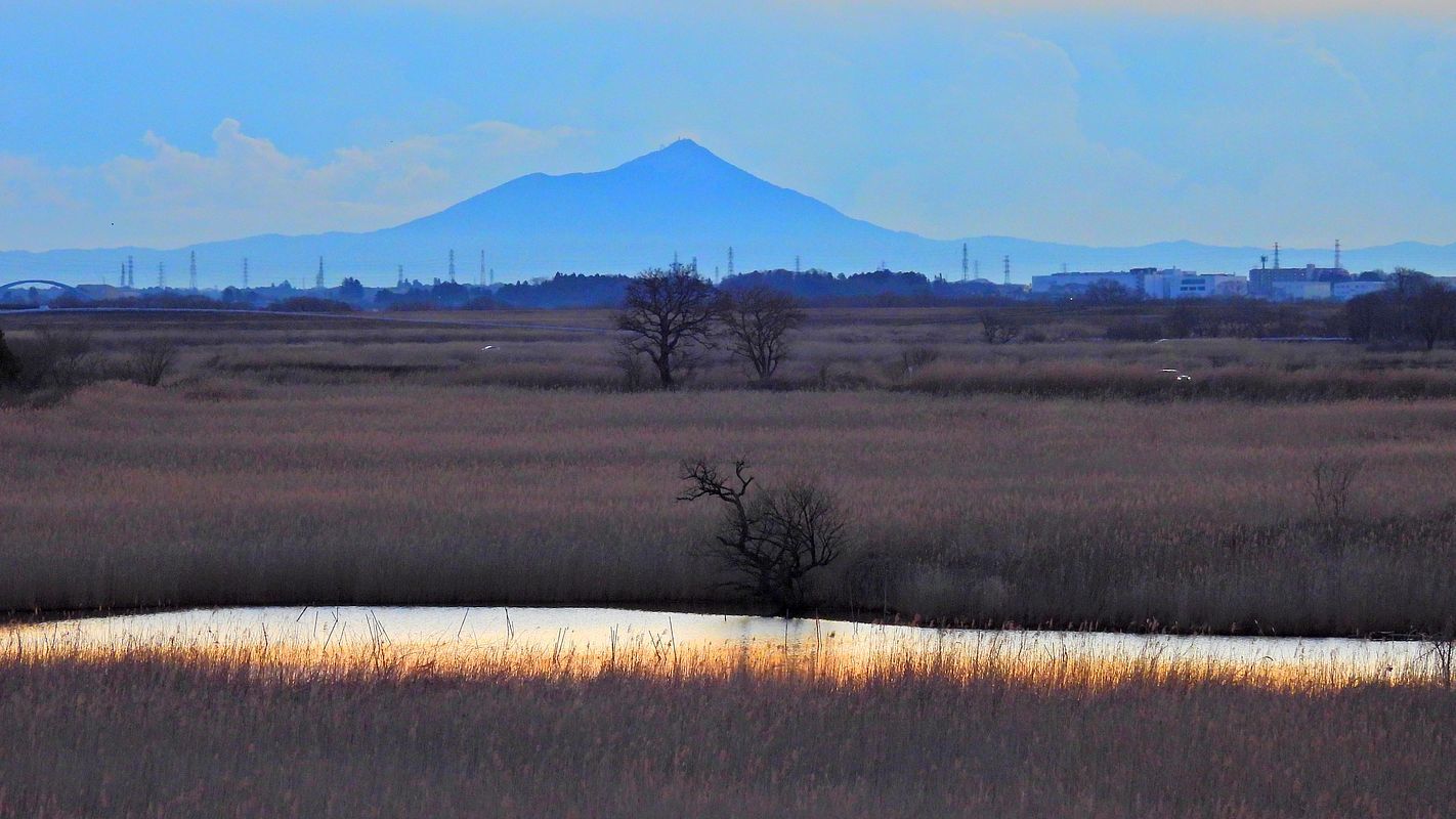 渡良瀬遊水地越しの筑波山は久し振り♪・・・2月17日早朝のISS撮りのついでに(^^;_a0031821_14215539.jpg