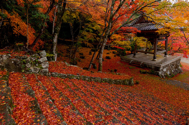 2021紅葉輝く滋賀　秋のクライマックス（東光寺）_f0155048_22413861.jpg