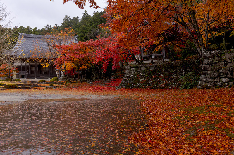 2021紅葉輝く滋賀　秋のクライマックス（東光寺）_f0155048_22461308.jpg