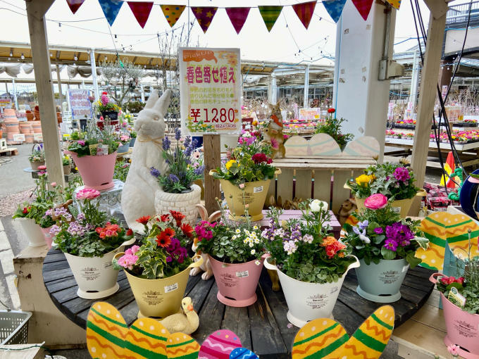 ジョイフル本田に行って来ました と メジ スズメの餌やりで気温測定 笑 薪割りマコのバラの庭