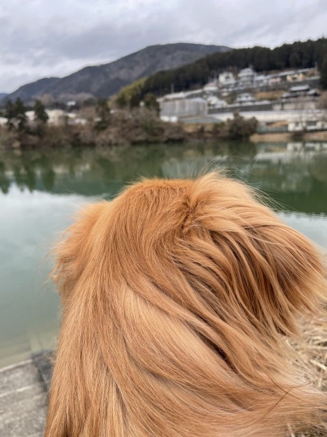 かけがえのない毎日。_a0394574_22295946.jpeg