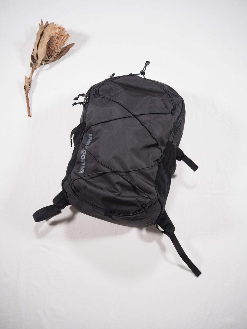 patagonia レフュジオデイパック 30ℓ_e0357389_14114100.jpg