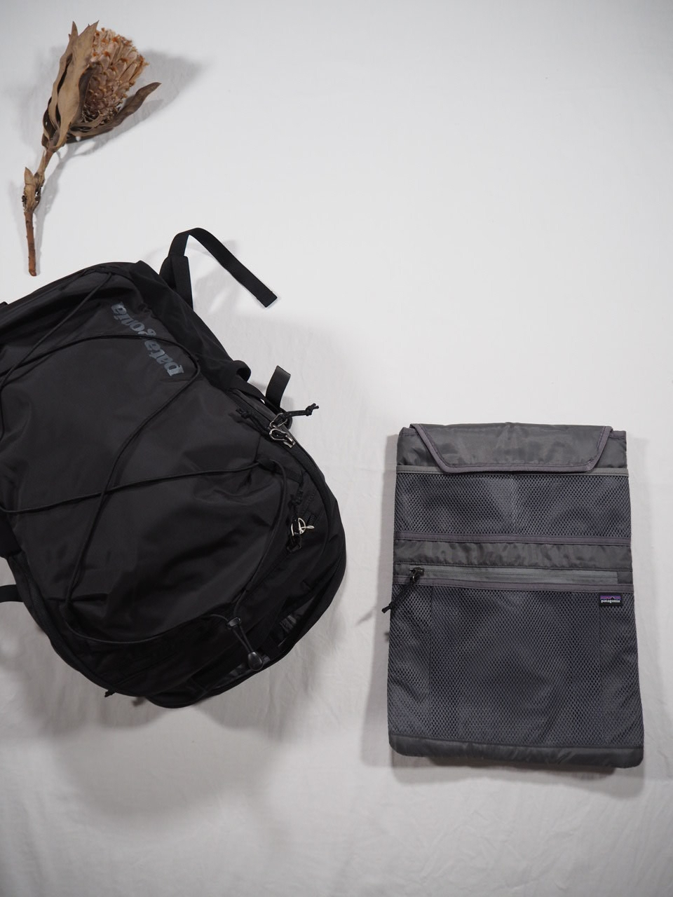 patagonia レフュジオデイパック 30ℓ_e0357389_14114404.jpg
