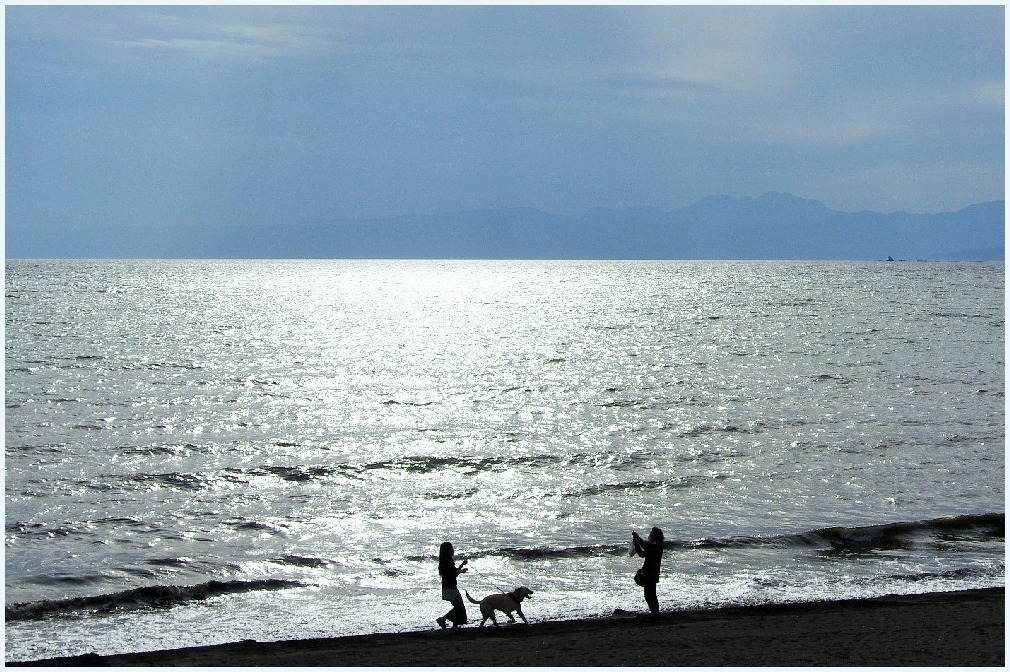 海辺の散歩_c0352813_10384225.jpg