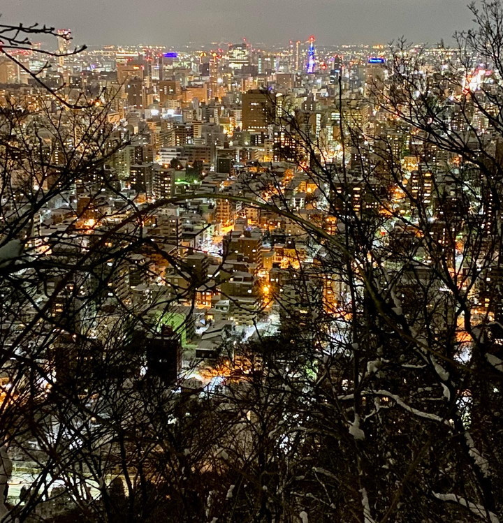 2022年1月 『札幌、夜の冬景色』 January 2022 \"Winter Night Scenery in Sapporo\"_c0219616_15400062.jpg