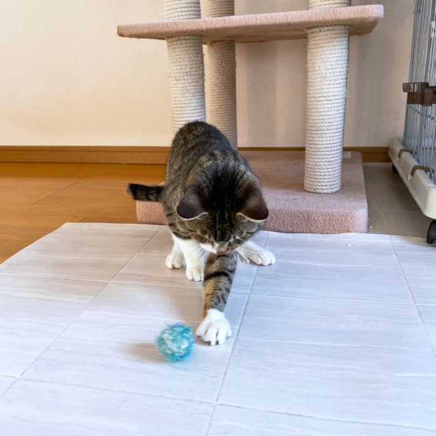 無事に終了〜!_d0355333_21205222.jpg