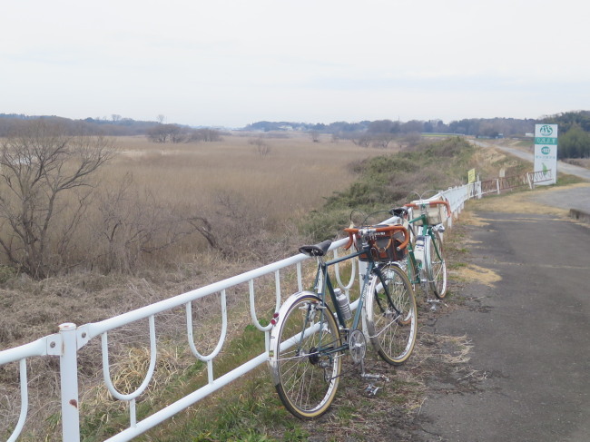 MさんのHIROSEと坂東へ : ぬかるみは続く・・・ MさんのHIROSEと坂東へ : ぬかるみは続く・・・