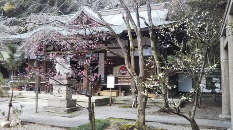 梅見会てくてく歩き 『保久良神社&岡本梅林』_c0218841_17332164.jpg