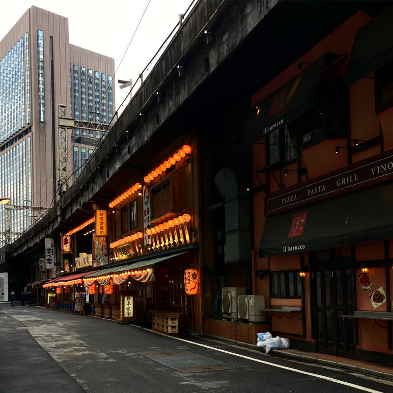 東京マラソンコースの下見、2日目_c0060143_16311517.jpg