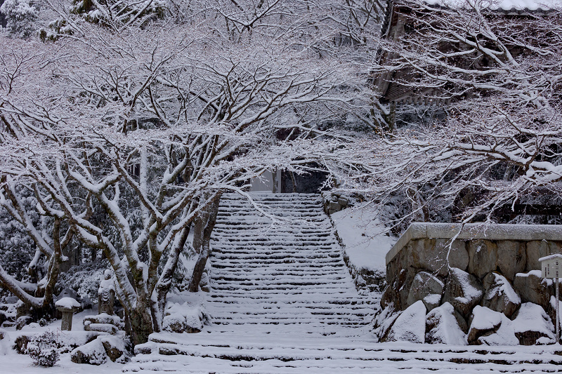 雪景色の東光寺_f0155048_12133732.jpg