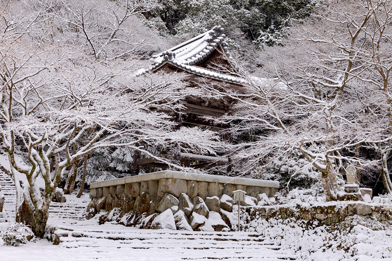 雪景色の東光寺_f0155048_12144097.jpg