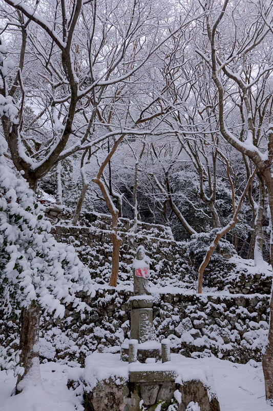 雪景色の東光寺_f0155048_12184431.jpg