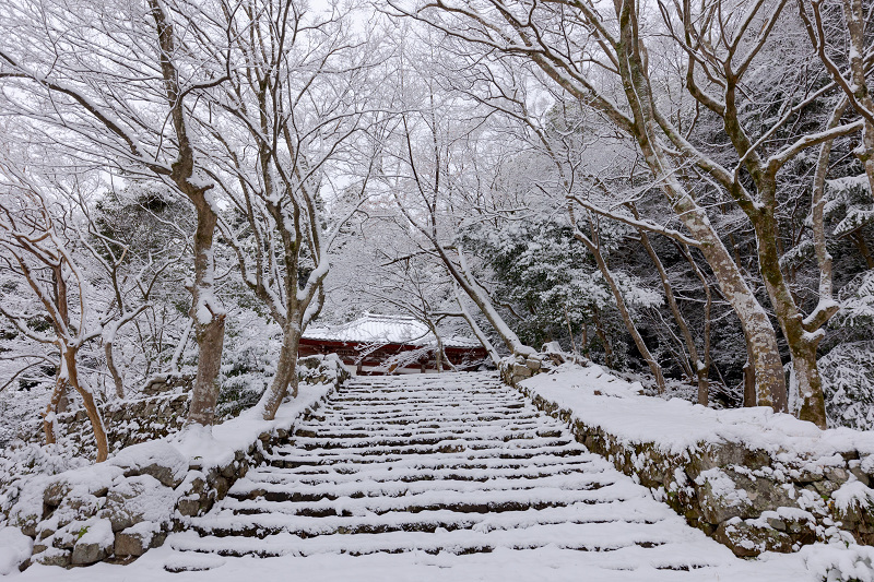 雪景色の東光寺_f0155048_12222304.jpg