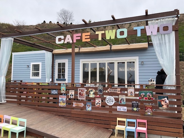 ドッグカフェ　『Cafe Two Two』　オープン！_b0241868_17260861.jpg
