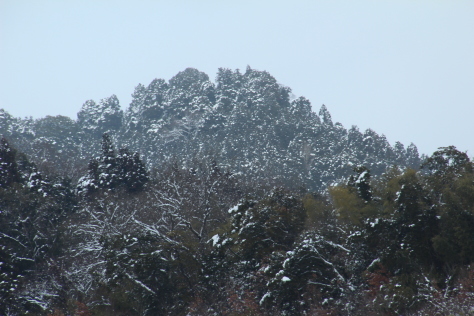 昨日の雪景色・・・今日は未だ降らず_d0178082_23123025.jpg