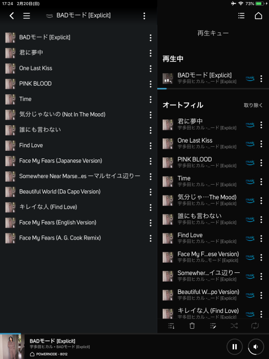 Bluesound POWERNODE　シンプルに様々な音楽を高音質で楽しみたい方へ！_b0292692_17285591.png