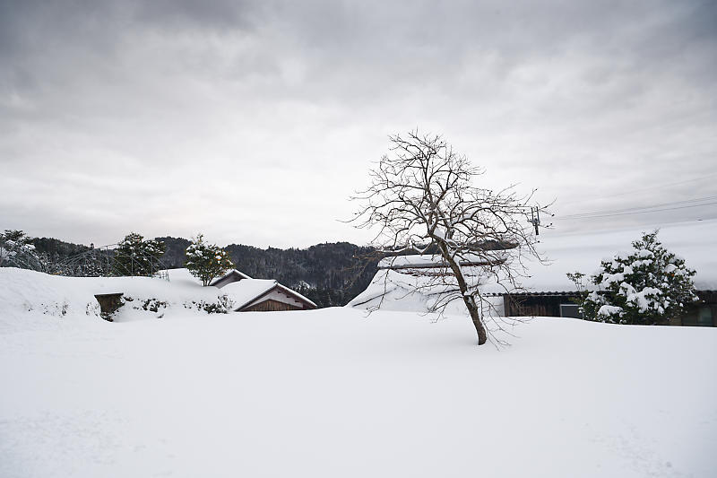 2022年滋賀県の雪景色@高島　畑の棚田_f0032011_21214282.jpg