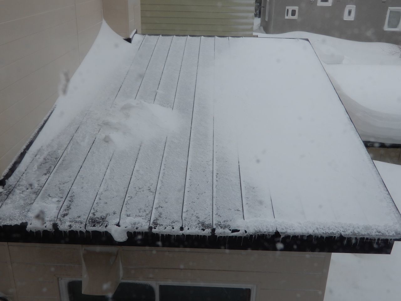 やってきました暴風雪_c0025115_20543178.jpg