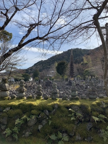 嵐山_b0145846_17193789.jpeg