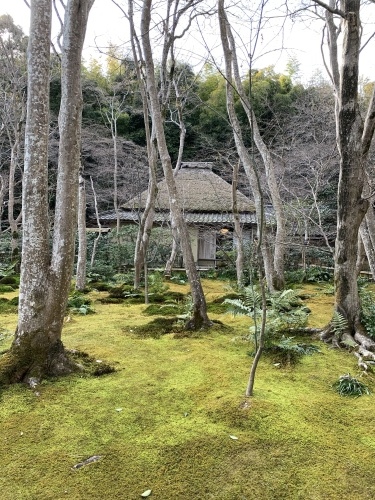 嵐山_b0145846_17232492.jpeg