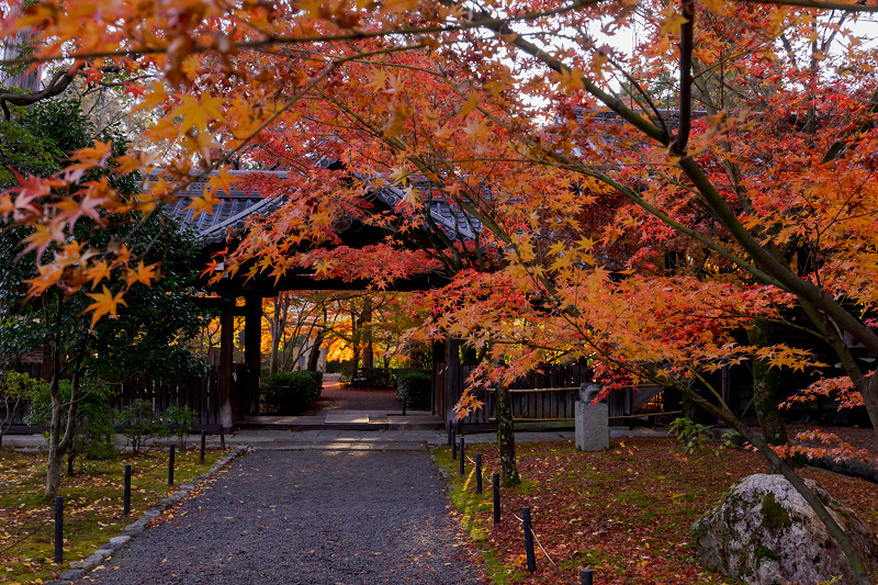 2021紅葉輝く京都　紅葉に包まれる真如堂_f0155048_21550436.jpg