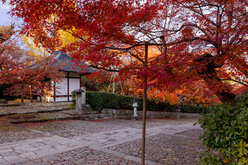 2021紅葉輝く京都　紅葉に包まれる真如堂_f0155048_21551170.jpg