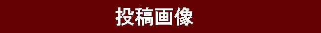 展示会情報　　　　　　　　　　No.2183_d0103457_11173127.jpg