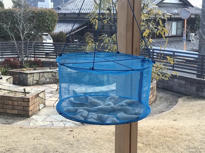 速筋タンパク(スケトウタラ)をいただきます_b0100062_10011577.jpeg