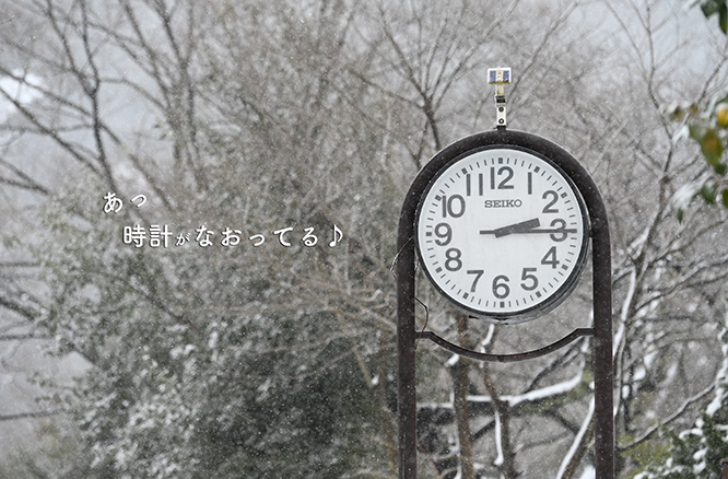 願いが叶い、公園の時計がなおったぞぉ〜子ども達♪_d0095673_14332626.jpg