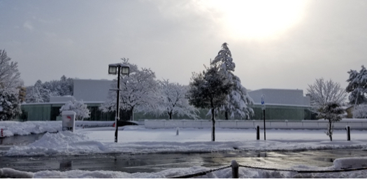 まさかの大雪、雪の金沢城と21世紀美術館_b0151911_22211037.jpg