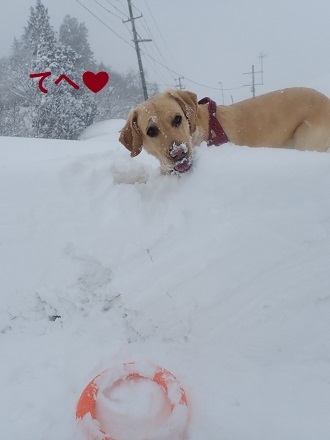 雪風呂。_c0182012_13185152.jpg