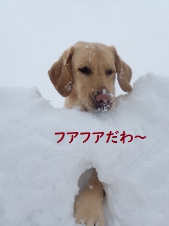 雪風呂。_c0182012_13185456.jpg
