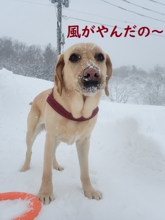 雪風呂。_c0182012_13185634.jpg