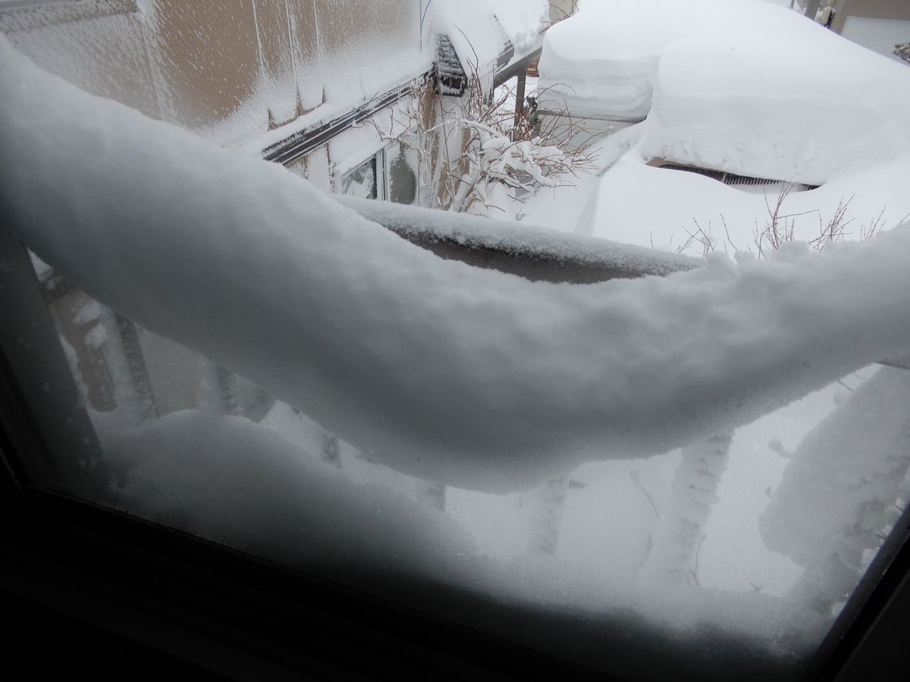 スーパー猫の日に猛烈な吹きだまり豪雪_c0025115_22044199.jpg