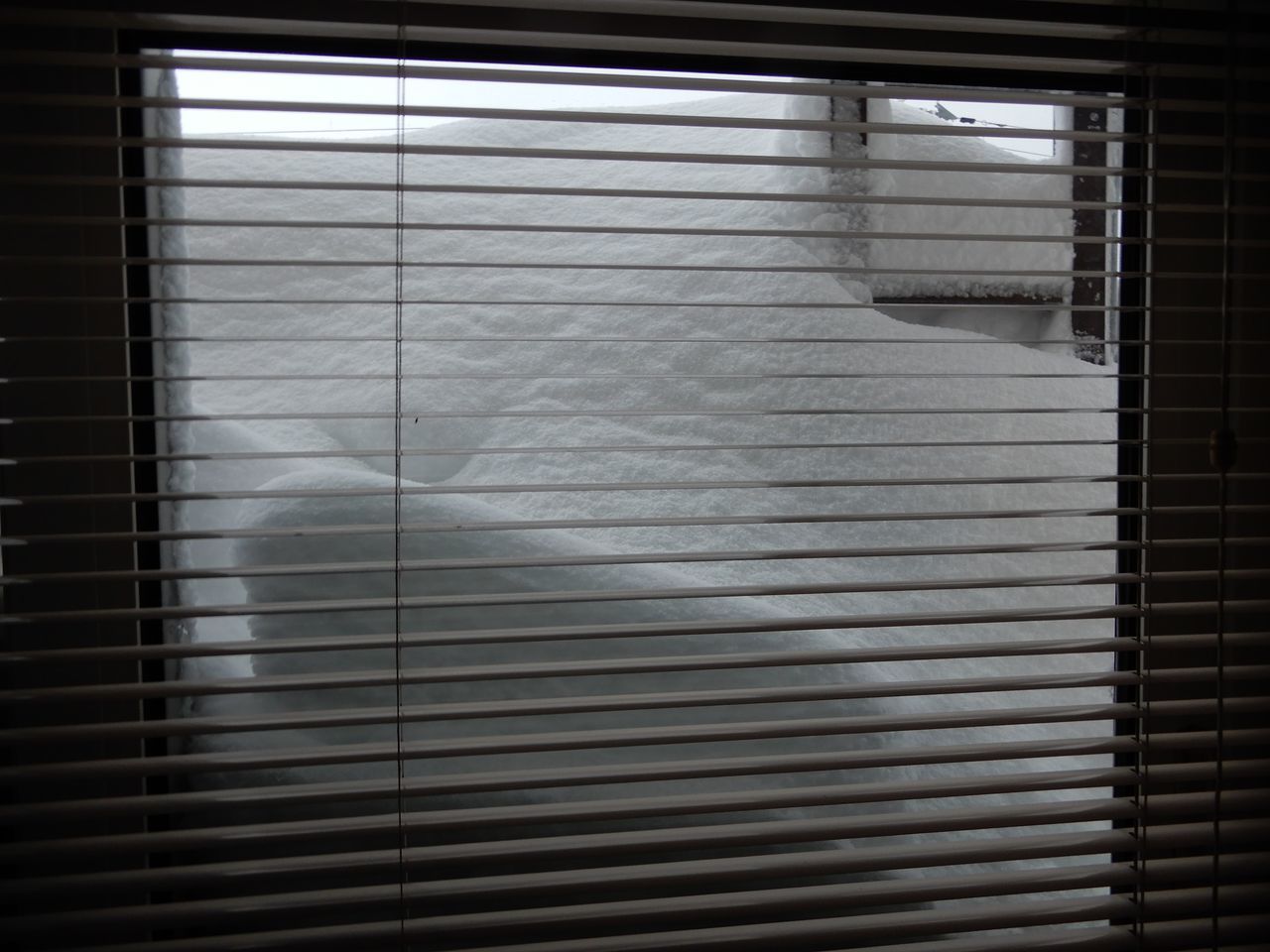 スーパー猫の日に猛烈な吹きだまり豪雪_c0025115_22053464.jpg