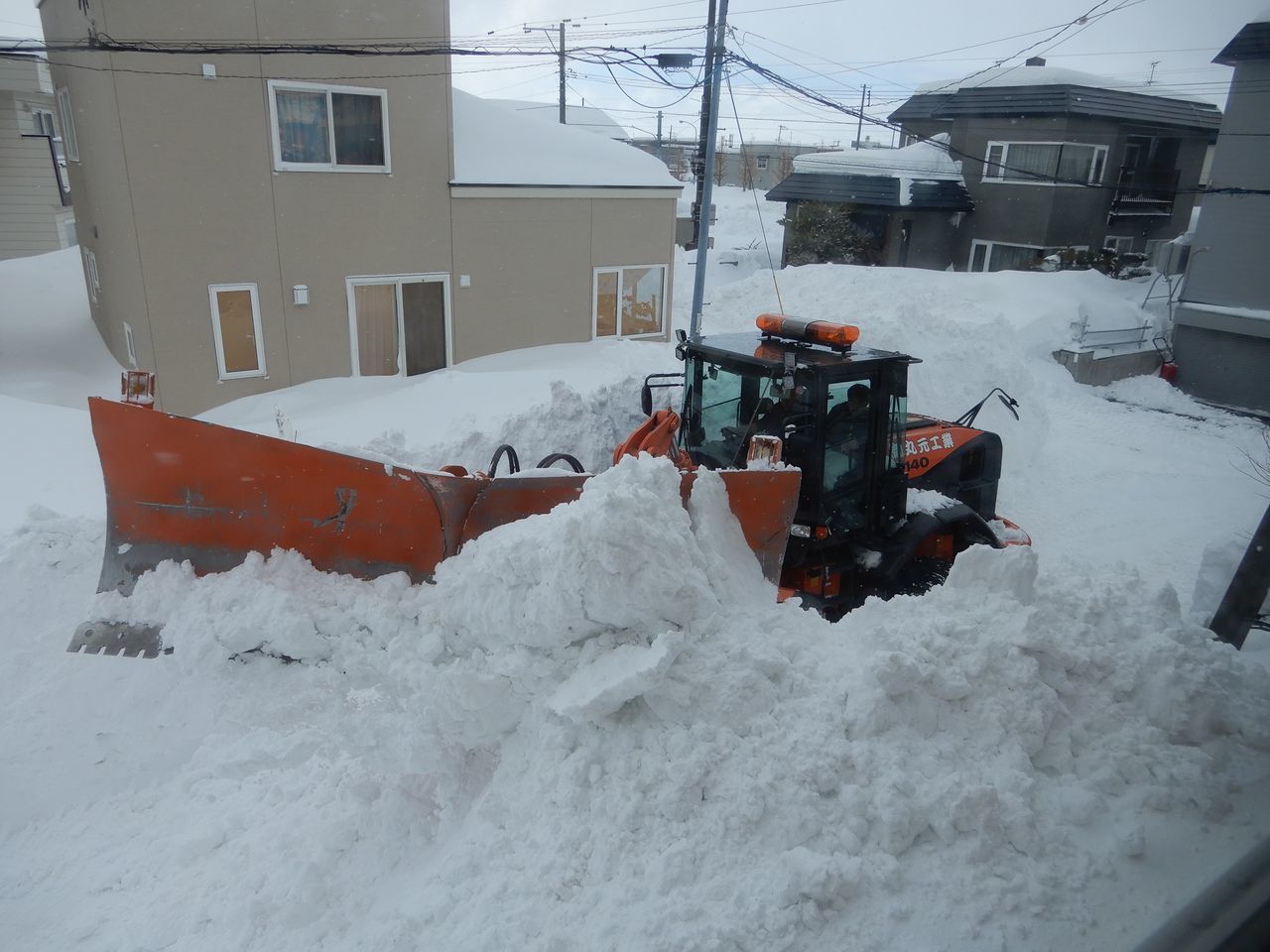 スーパー猫の日に猛烈な吹きだまり豪雪_c0025115_22174089.jpg