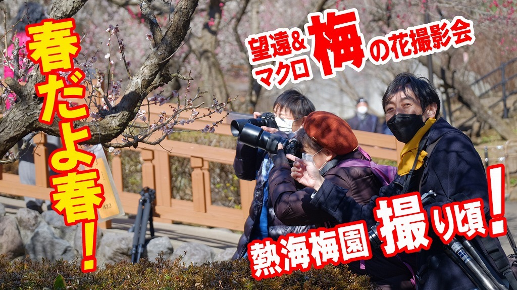 「梅の花撮影会」行ってきました_f0221724_17542107.jpg