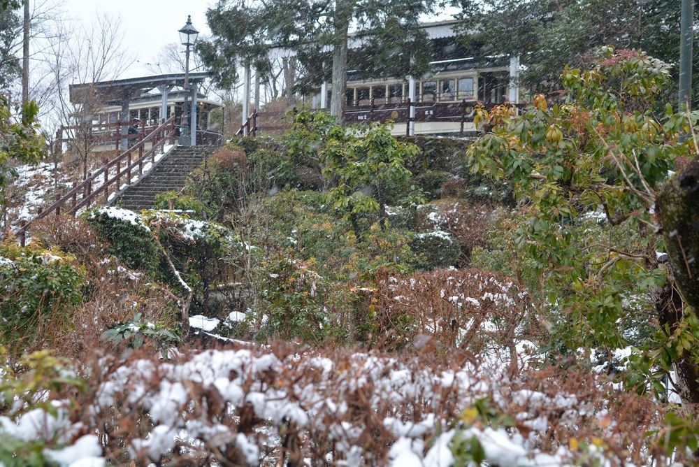雪と入鹿池と京都市電_e0373930_19024328.jpg