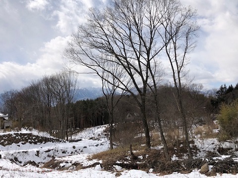 冬ごもりの2月_f0019247_09210983.jpg