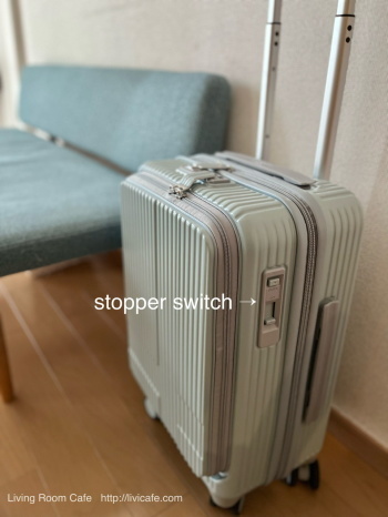 北欧イノベーターのスーツケース_e0040957_11321973.jpeg