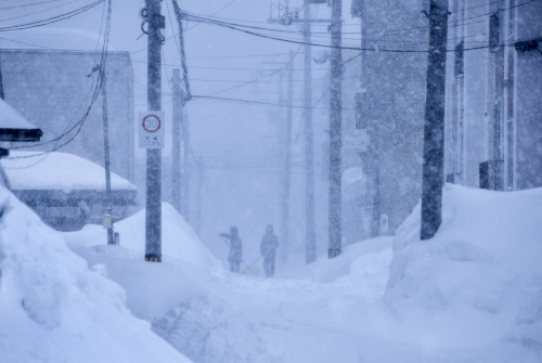 雪便り 16_f0143469_10113303.jpg
