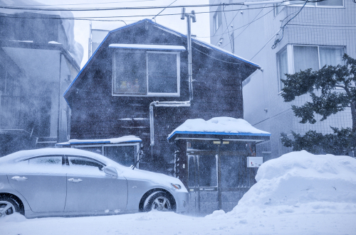 雪便り 16_f0143469_10113516.jpg