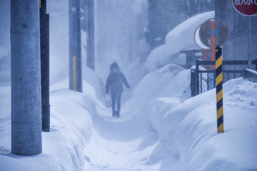 雪便り 16_f0143469_10113520.jpg