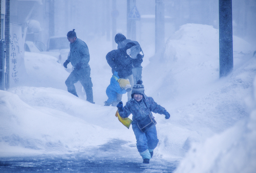 雪便り 16_f0143469_10113569.jpg