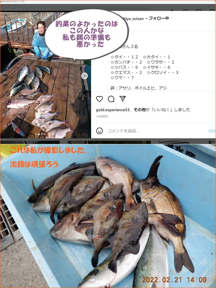 南伊勢町海上筏釣りは寒く釣果も寒かった 釣り名人でも坊主に近い日もある 小次郎じじ物語