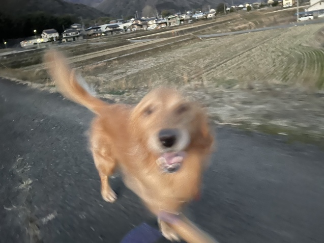 満ち足りた夜。_a0394574_22463932.jpeg