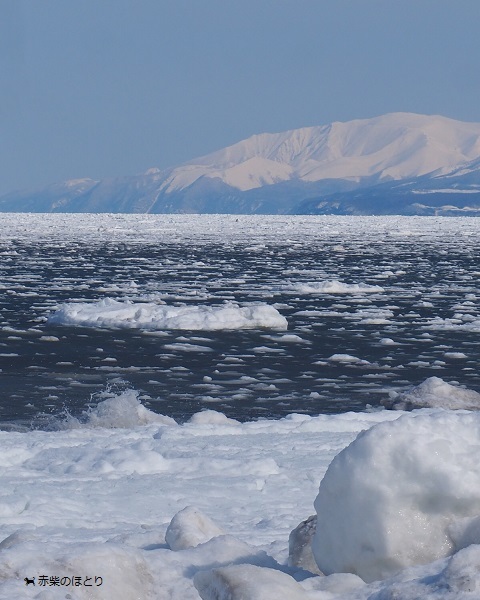 以久科海岸 流氷ぷかぷか_f0150377_19165761.jpg