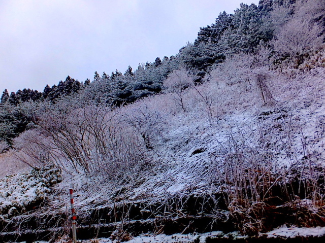 コロナ避けての山海ドライブで　_d0329286_12262544.jpg